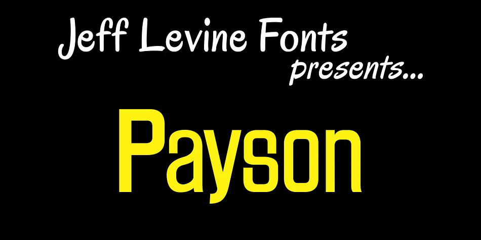 Payson JNL by Jeff Levine Fonts — Display Font