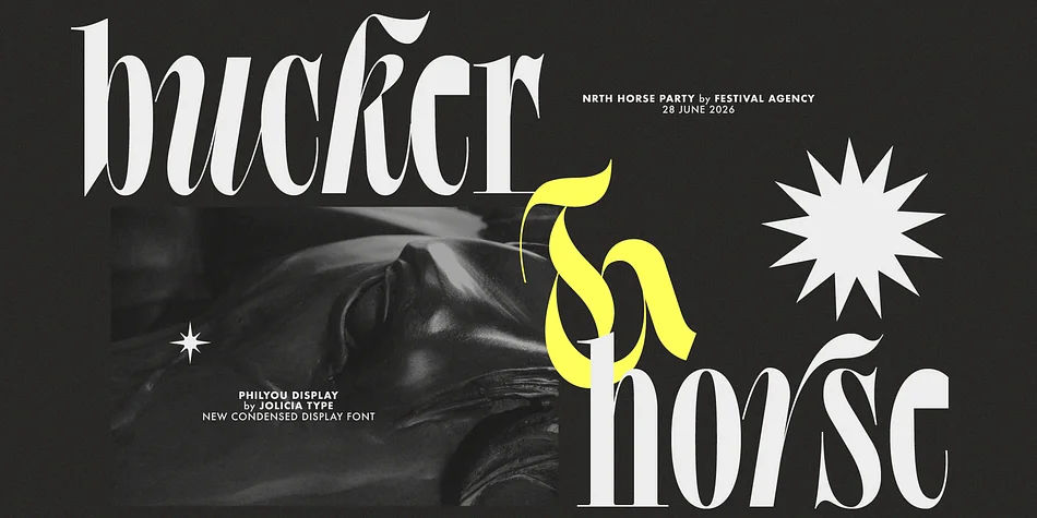Philyou Display by Jolicia Type — Display Font — thumbnail 3