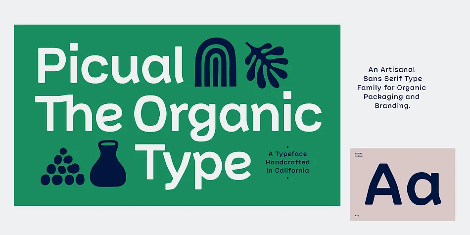 Picual by Juri Zaech — Display Font