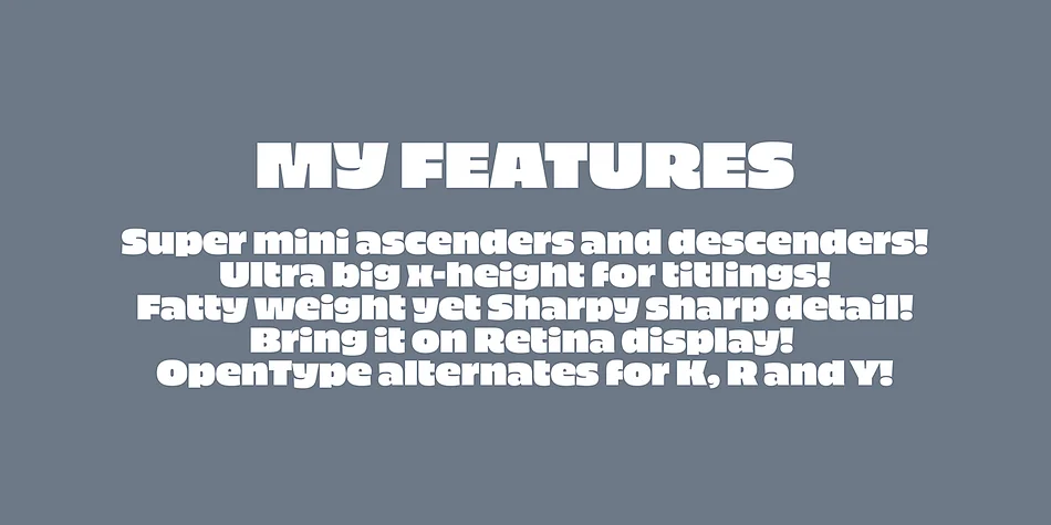 Piepie by Dharma Type — Display Font — thumbnail 3
