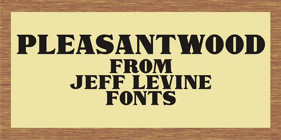 PLEASANTWOOD JNL by Jeff Levine Fonts — Decorative Font