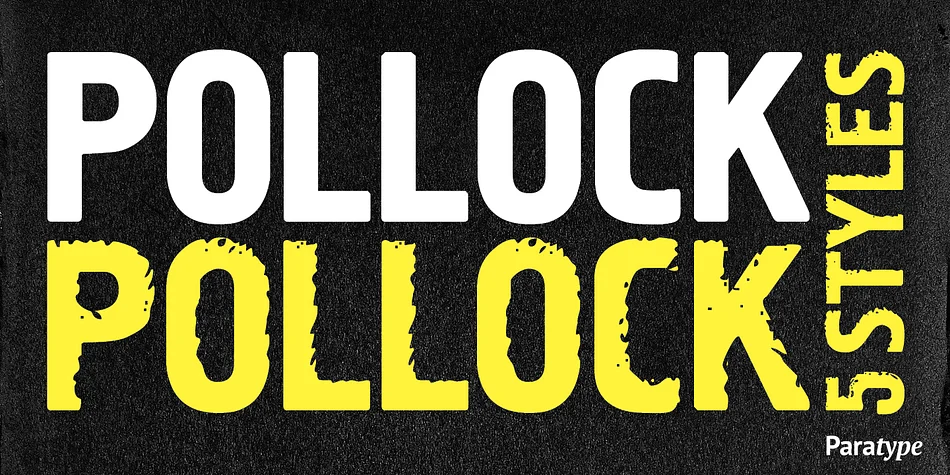 Pollock by ParaType — Dingbats Font