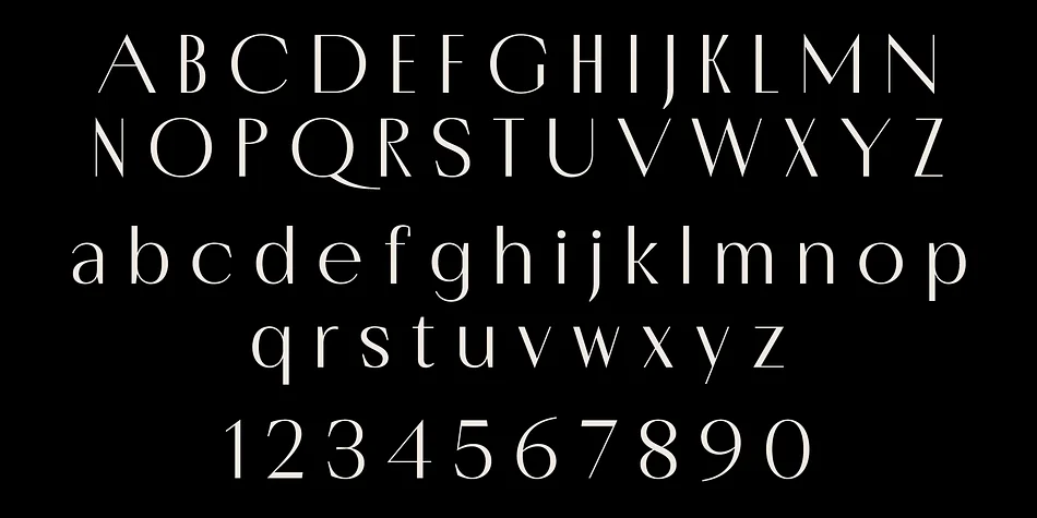Porte by Groteskly Yours — Decorative Font — thumbnail 8