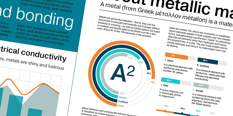 Pragmatica by ParaType — Display Font — thumbnail 4