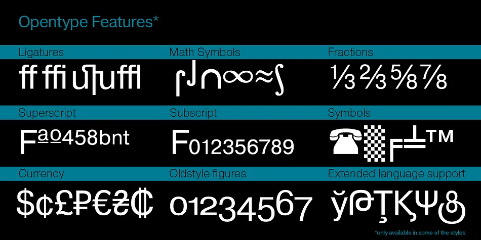 Pragmatica by ParaType — Display Font — thumbnail 5