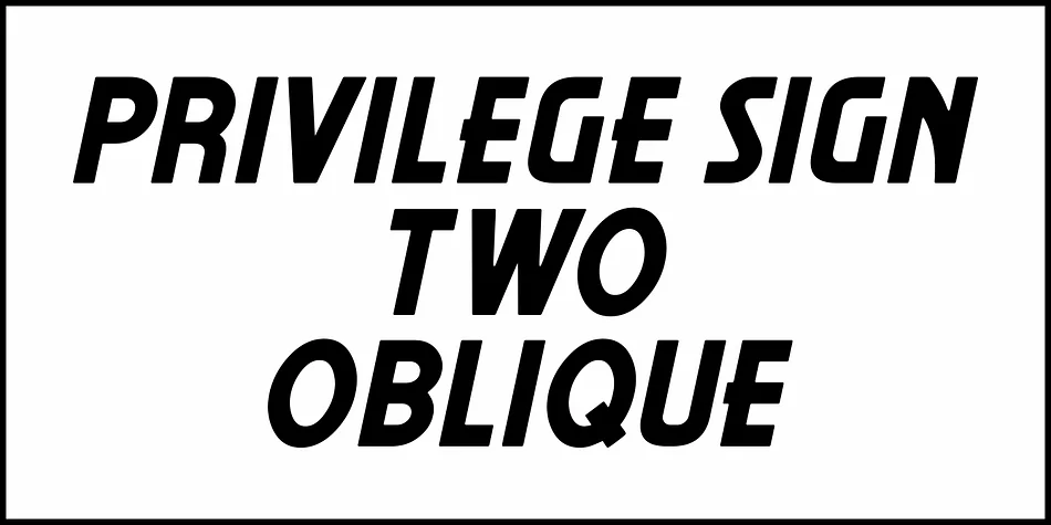 PRIVILEGE SIGN TWO JNL by Jeff Levine Fonts — Display Font — thumbnail 4