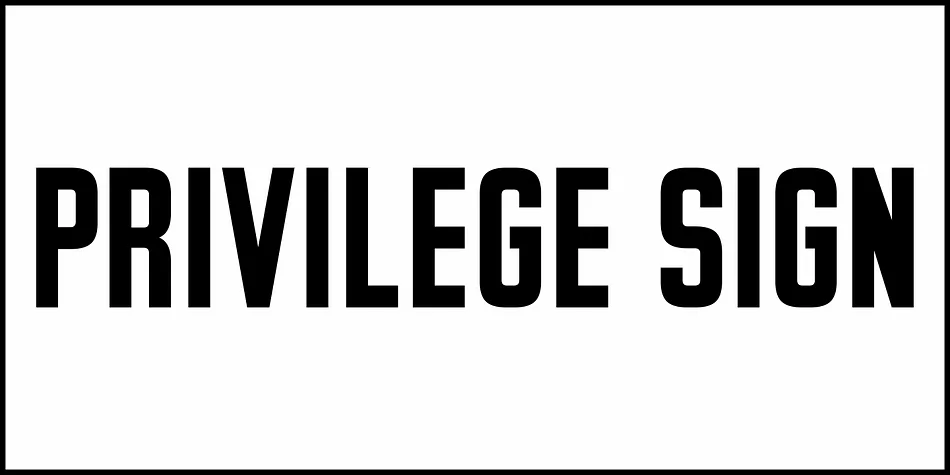 PRIVILEGE SIGN by Jeff Levine Fonts — Display Font — thumbnail 2