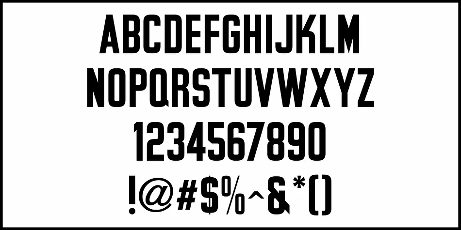 PRIVILEGE SIGN by Jeff Levine Fonts — Display Font — thumbnail 3