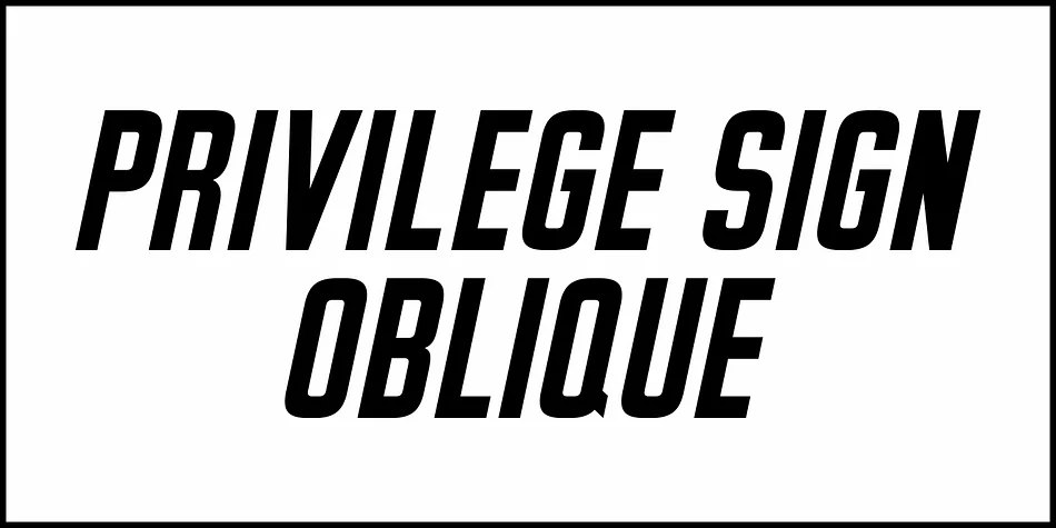 PRIVILEGE SIGN by Jeff Levine Fonts — Display Font — thumbnail 4