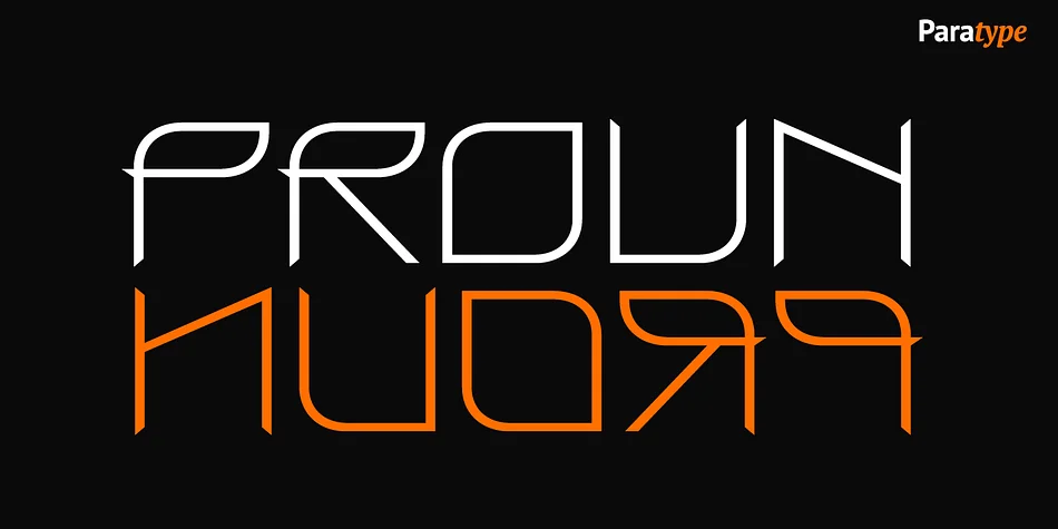 PROUN by ParaType — Display Font
