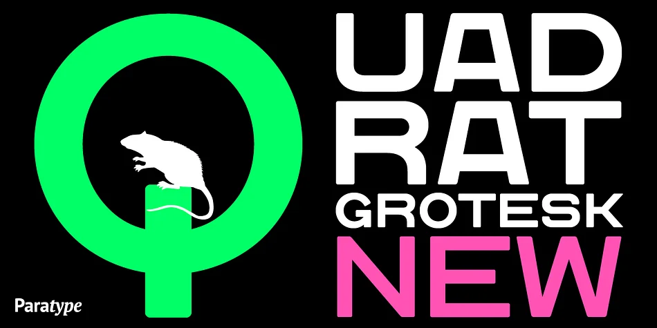 Quadrat Grotesk New by ParaType — Display Font
