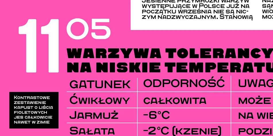 Quadrat Grotesk New by ParaType — Display Font — thumbnail 6
