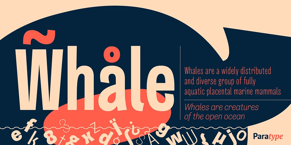 Quartal by ParaType — Display Font — thumbnail 6