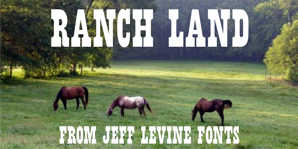 RANCH LAND JNL by Jeff Levine Fonts — Decorative Font