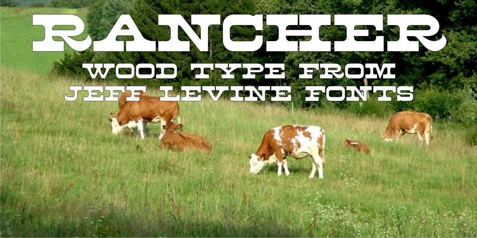 RANCHER JNL by Jeff Levine Fonts — Decorative Font