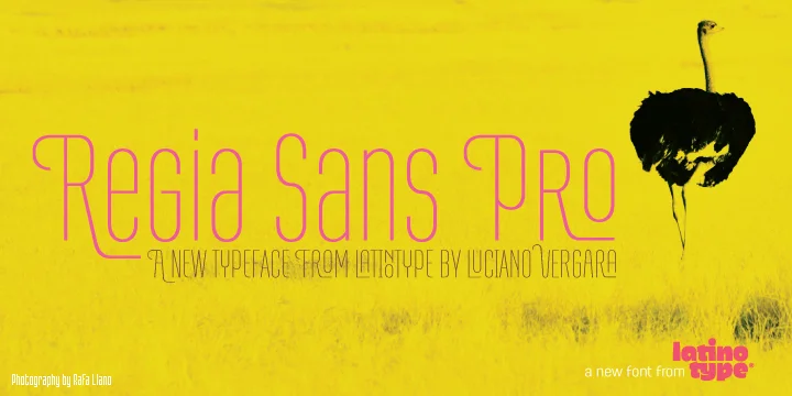 RegiaSansPro by Latinotype — Display Font