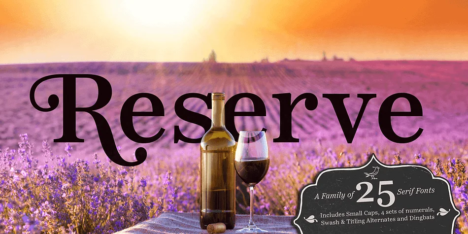 Reserve by Positype — Dingbats Font