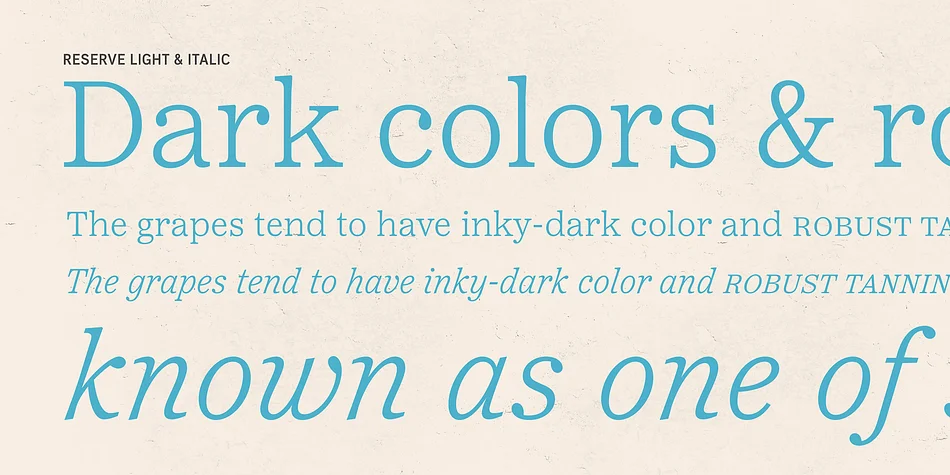 Reserve by Positype — Dingbats Font — thumbnail 10