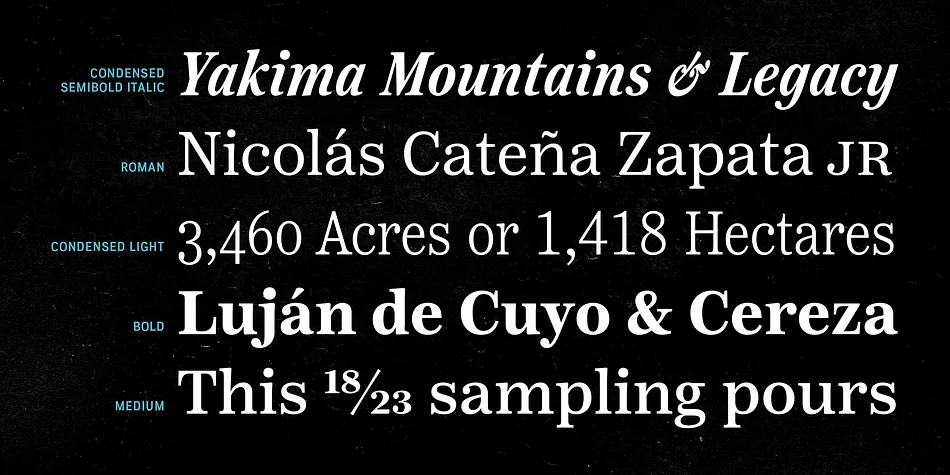 Reserve by Positype — Dingbats Font — thumbnail 3