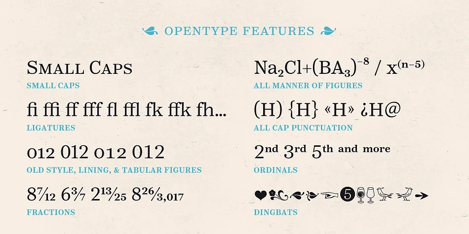 Reserve by Positype — Dingbats Font — thumbnail 5