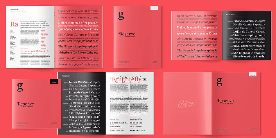 Reserve by Positype — Dingbats Font — thumbnail 6