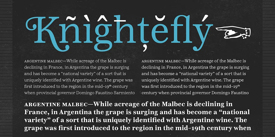 Reserve by Positype — Dingbats Font — thumbnail 7