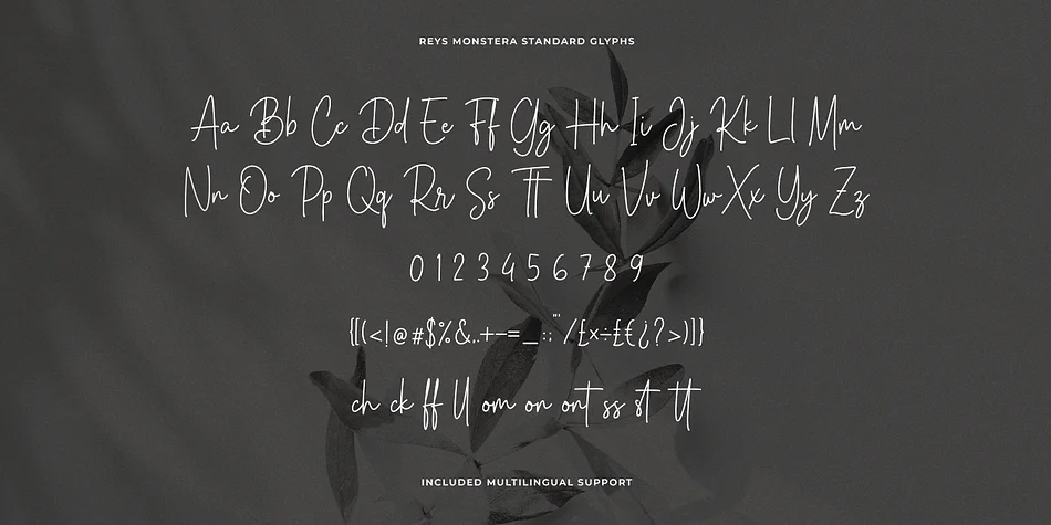 Reys Monstera by Heinzel Std — Script Handwritten Font — thumbnail 10