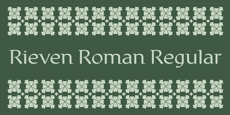 Rieven by Delve Fonts — Dingbats Font — thumbnail 2