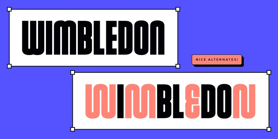 Robson by TypeUnion — Display Font — thumbnail 6