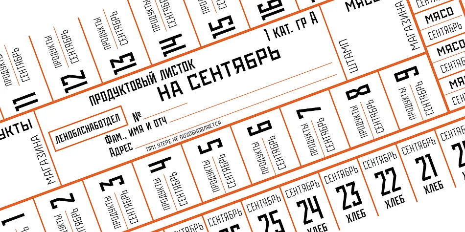 Rodchenko by ParaType — Display Font — thumbnail 5