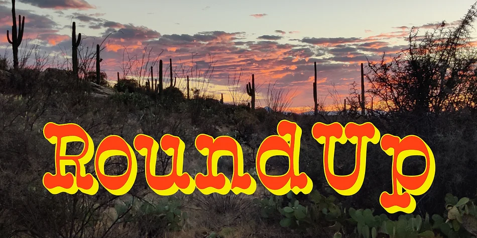 RoundUp by Ingrimayne Type — Decorative Font