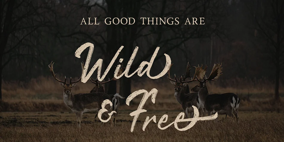 Rustyne by Craft Supply Co. — Display Font — thumbnail 3