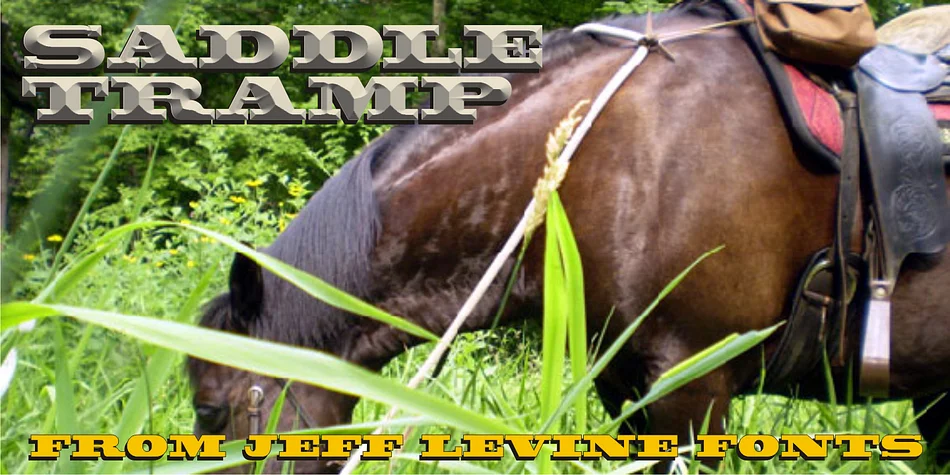 SADDLE TRAMP JNL by Jeff Levine Fonts — Decorative Font