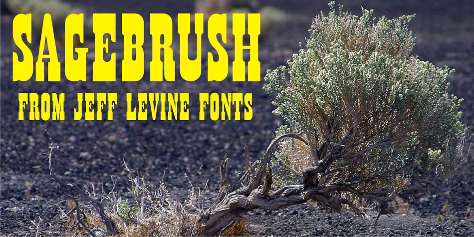 SAGEBRUSH JNL by Jeff Levine Fonts — Decorative Font