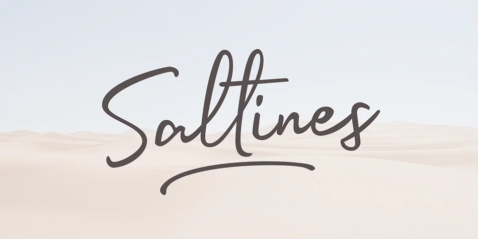 Saltines by Lafontype — Dingbats Font