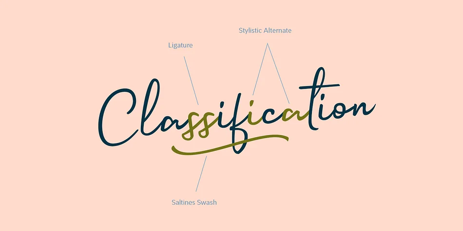 Saltines by Lafontype — Dingbats Font — thumbnail 2