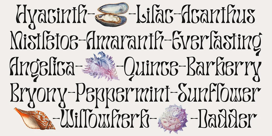 Salty Mussy by Dharmas Studio — Display Font — thumbnail 3