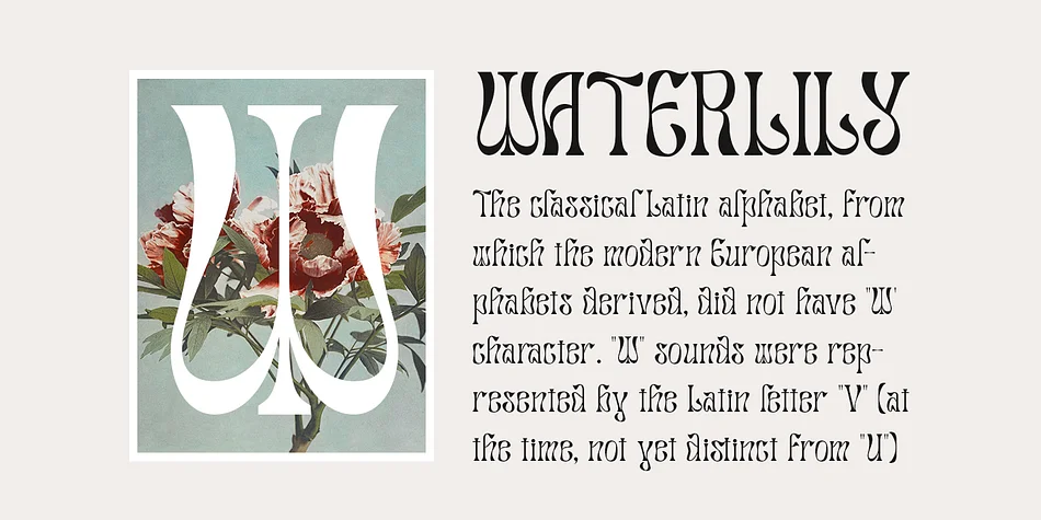 Salty Mussy by Dharmas Studio — Display Font — thumbnail 4