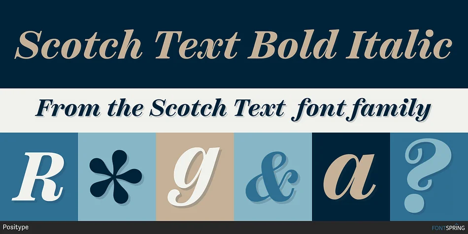 Scotch Super Family by Positype — Dingbats Font — thumbnail 10