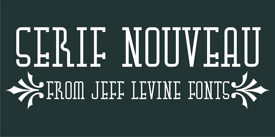 SERIF NOUVEAU JNL by Jeff Levine Fonts — Decorative Font