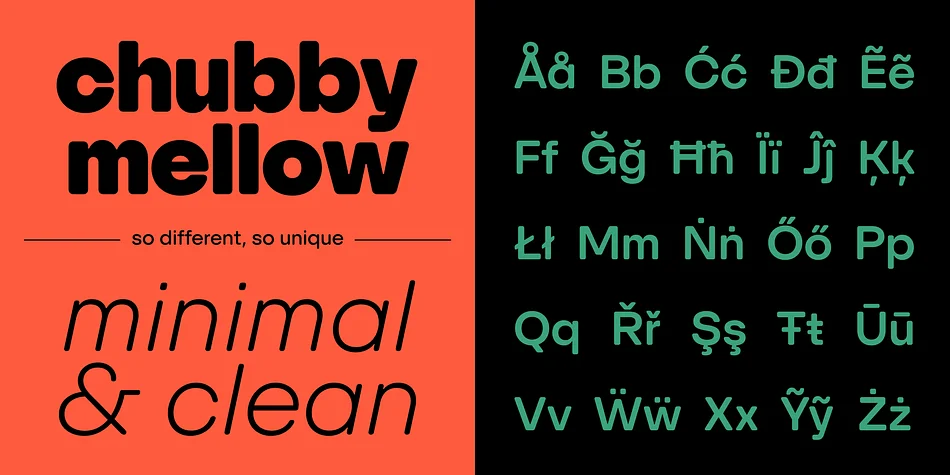 SFT Schrifted Round by Schrifteria Foundry — Display Font — thumbnail 3
