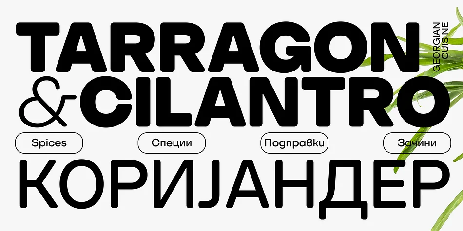 SFT Schrifted Round by Schrifteria Foundry — Display Font — thumbnail 6