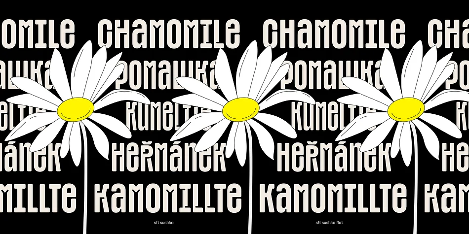 SFT SUSHKA by Schrifteria Foundry — Display Font — thumbnail 4