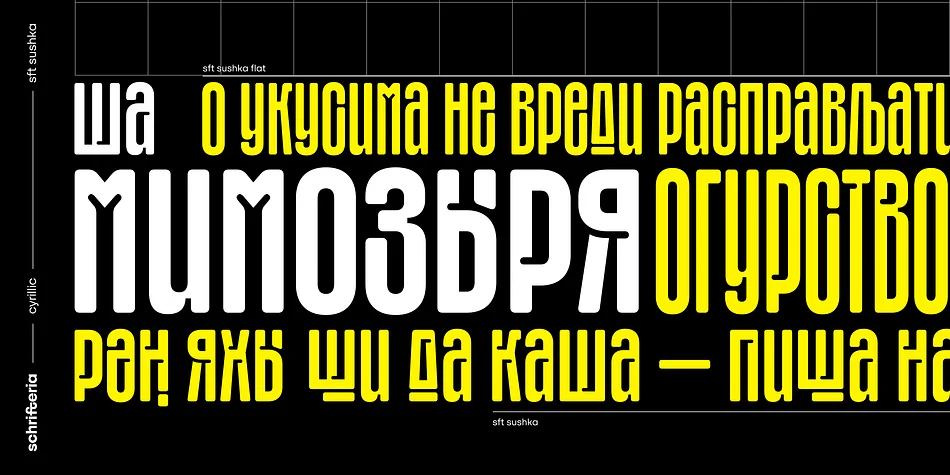 SFT SUSHKA by Schrifteria Foundry — Display Font — thumbnail 9