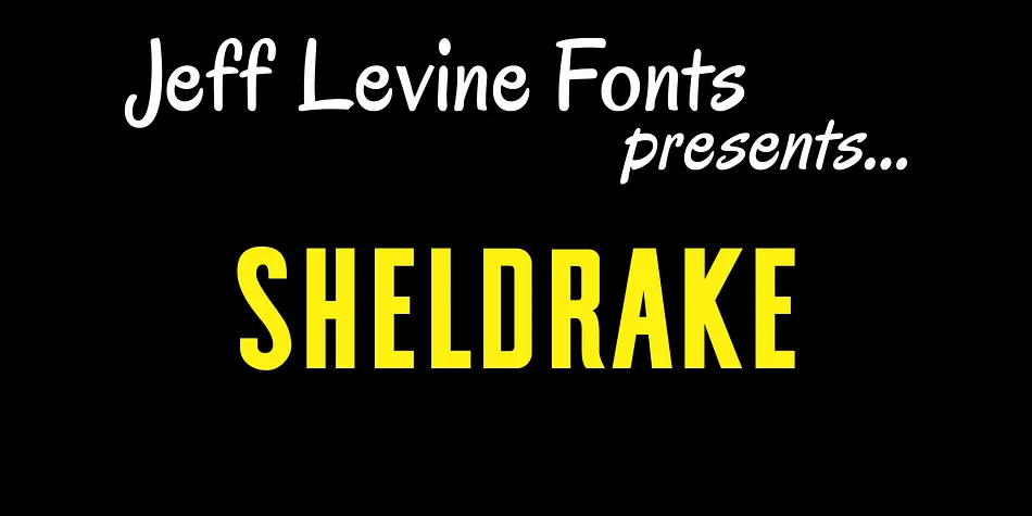 SHELDRAKE JNL by Jeff Levine Fonts — Display Font