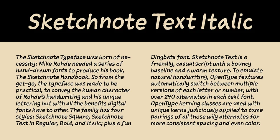 Sketchnote by Delve Fonts — Dingbats Font — thumbnail 4