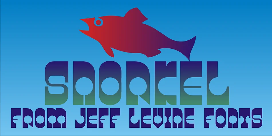 SNORKEL JNL by Jeff Levine Fonts — Display Font