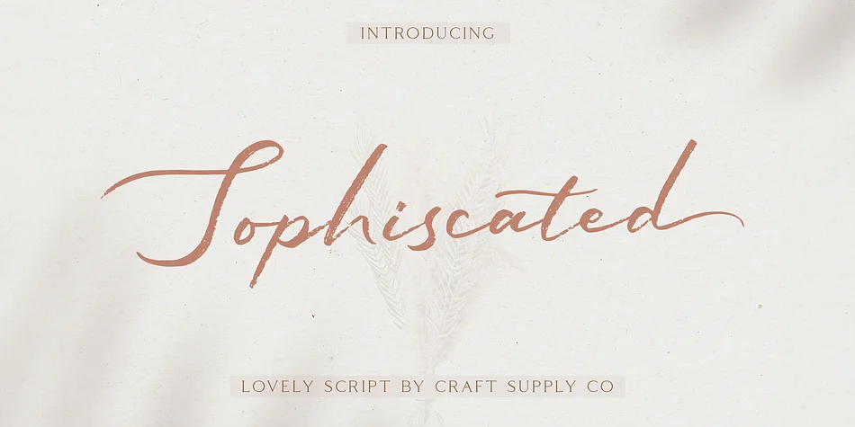 Sophiscated by Craft Supply Co. — Script Handwritten Font