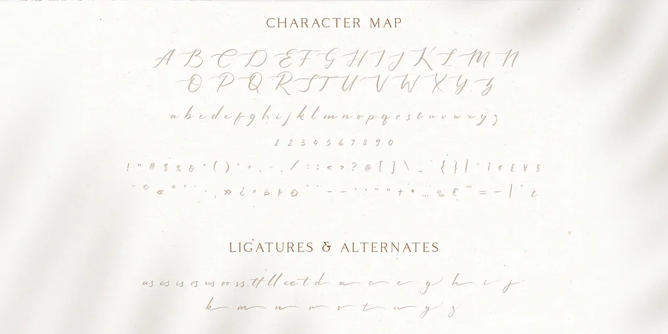 Sophiscated by Craft Supply Co. — Script Handwritten Font — thumbnail 4