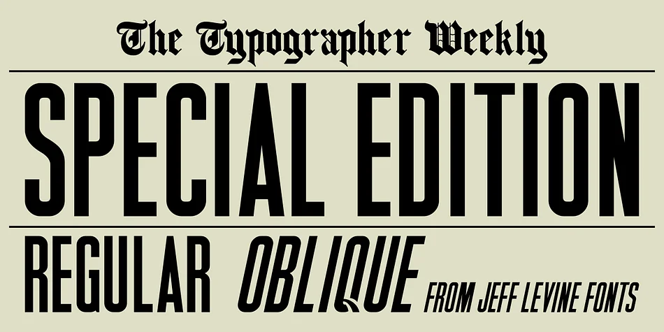 SPECIAL EDITION JNL by Jeff Levine Fonts — Display Font